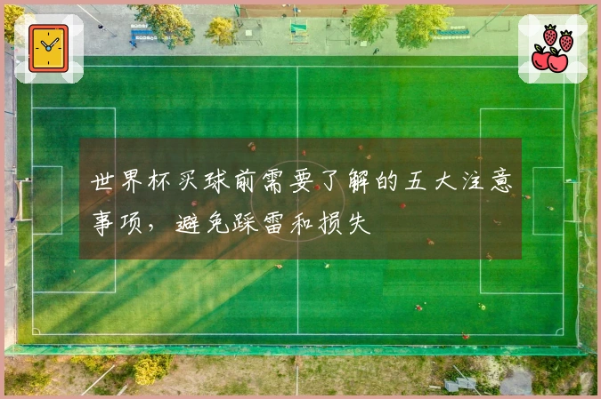 世界杯买球前需要了解的五大注意事项，避免踩雷和损失