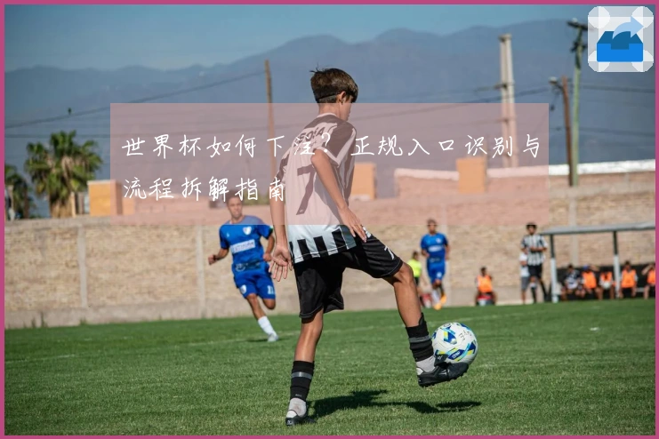世界杯如何下注？正规入口识别与流程拆解指南