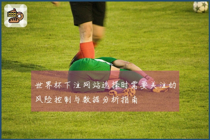 世界杯下注网站选择时需要关注的风险控制与数据分析指南
