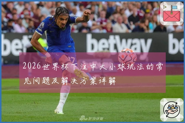 2026世界杯下注中大小球玩法的常见问题及解决方案详解