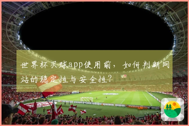 世界杯买球app使用前，如何判断网站的稳定性与安全性？