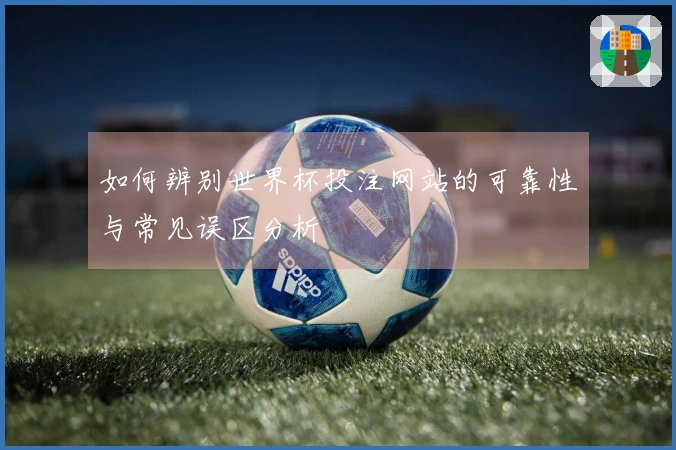 如何辨别世界杯投注网站的可靠性与常见误区分析