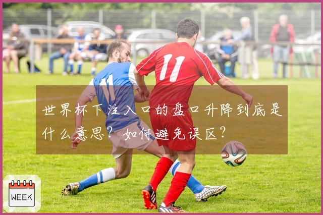 世界杯下注入口的盘口升降到底是什么意思？如何避免误区？