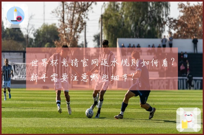 世界杯竞猜官网返水规则如何看？新手需要注意哪些细节？