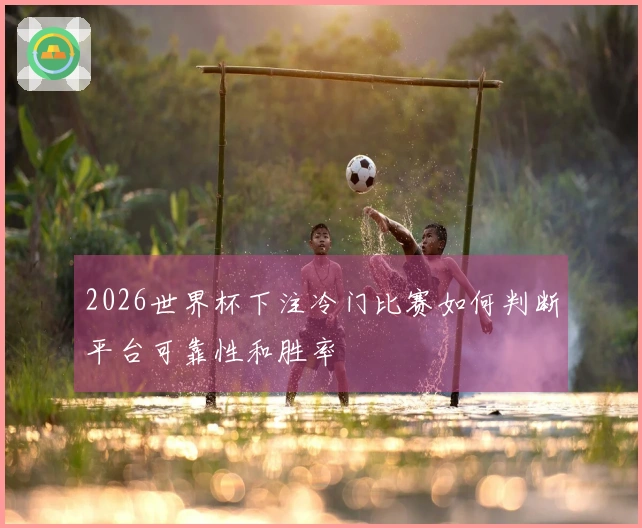 2026世界杯下注冷门比赛如何判断平台可靠性和胜率