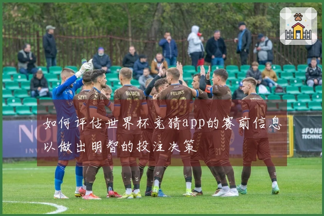 如何评估世界杯竞猜app的赛前信息以做出明智的投注决策