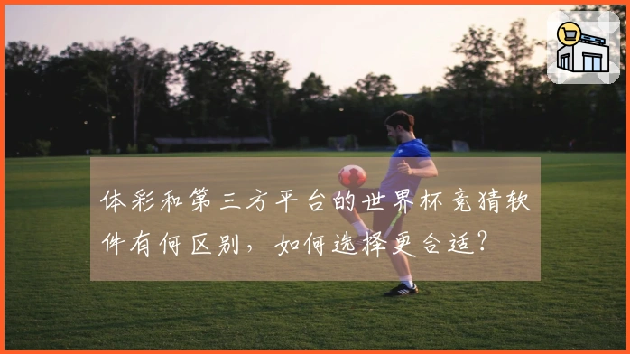 体彩和第三方平台的世界杯竞猜软件有何区别，如何选择更合适？