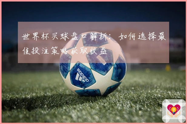 世界杯买球盘口解析：如何选择最佳投注策略获取收益