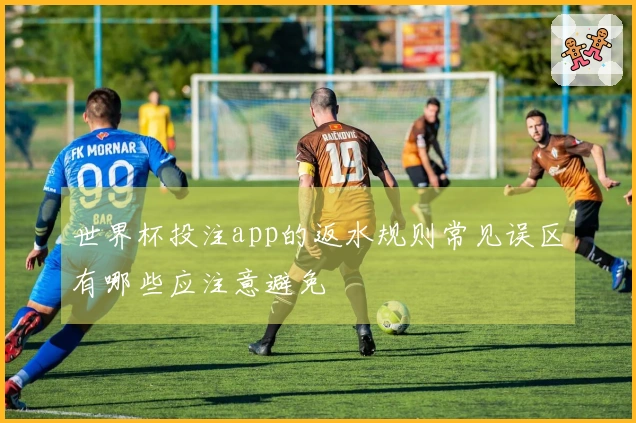 世界杯投注app的返水规则常见误区有哪些应注意避免