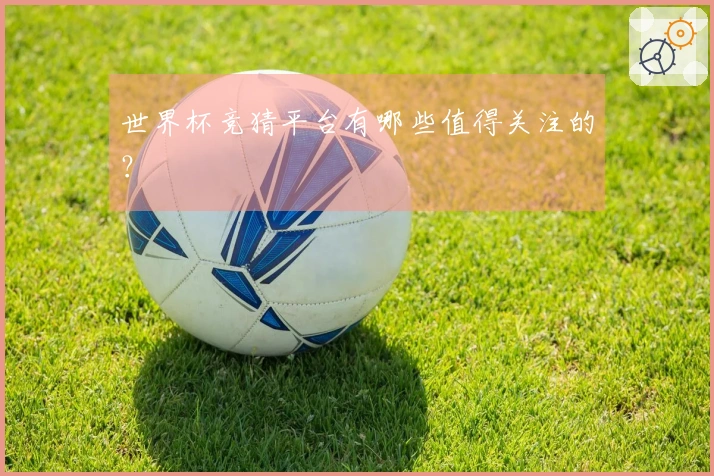 世界杯竞猜平台有哪些值得关注的？