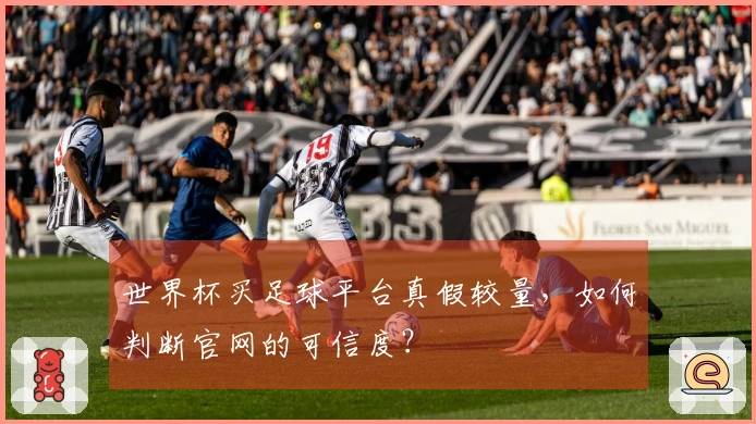 世界杯买足球平台真假较量，如何判断官网的可信度？