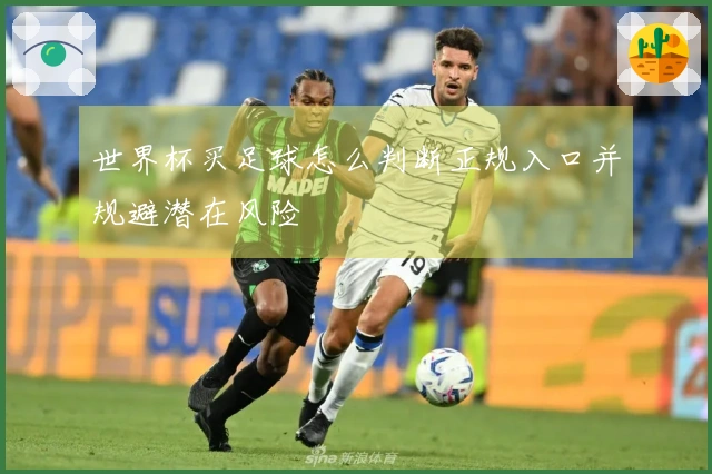 世界杯买足球怎么判断正规入口并规避潜在风险