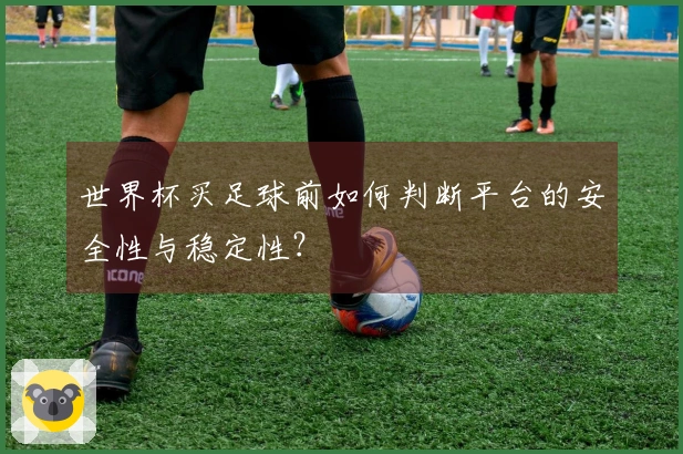 世界杯买足球前如何判断平台的安全性与稳定性？