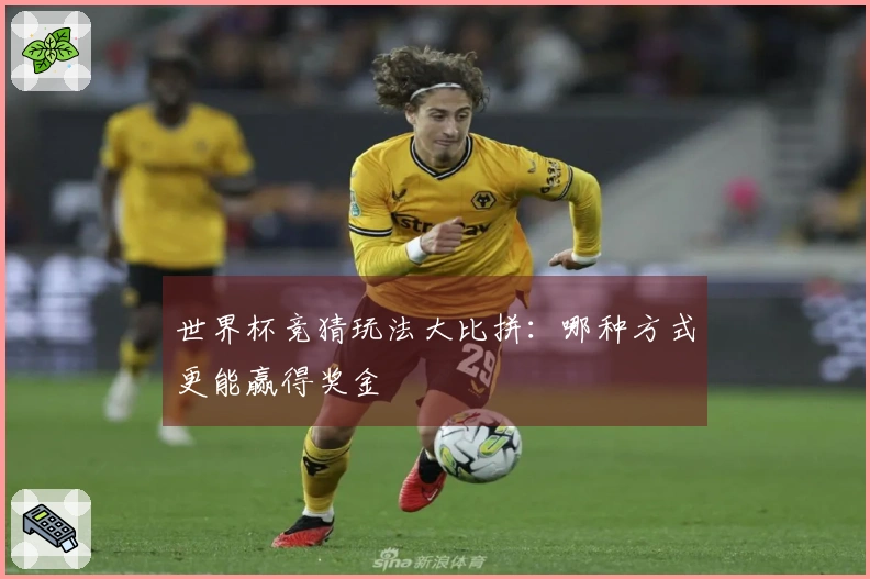 世界杯竞猜玩法大比拼：哪种方式更能赢得奖金