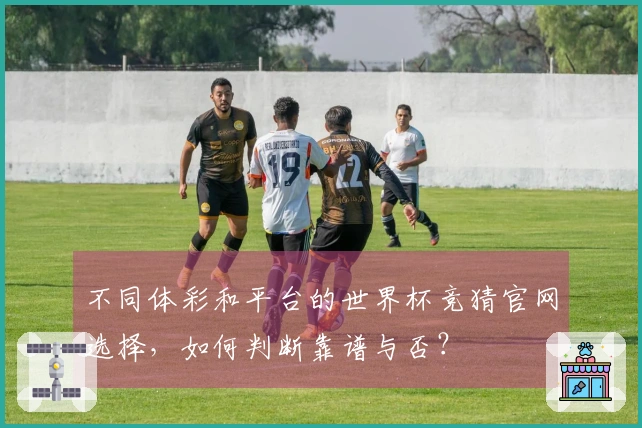 不同体彩和平台的世界杯竞猜官网选择,如何判断靠谱与否?