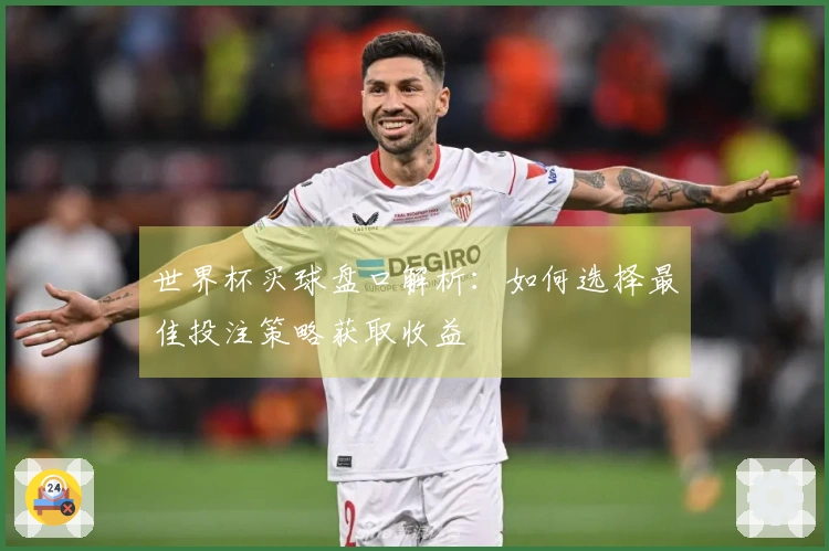 世界杯买球盘口解析：如何选择最佳投注策略获取收益