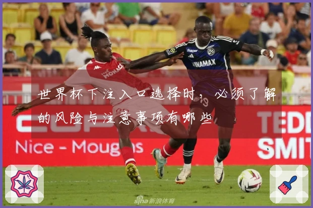 世界杯下注入口选择时，必须了解的风险与注意事项有哪些
