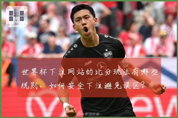 世界杯下注网站的比分玩法有哪些规则，如何安全下注避免误区？