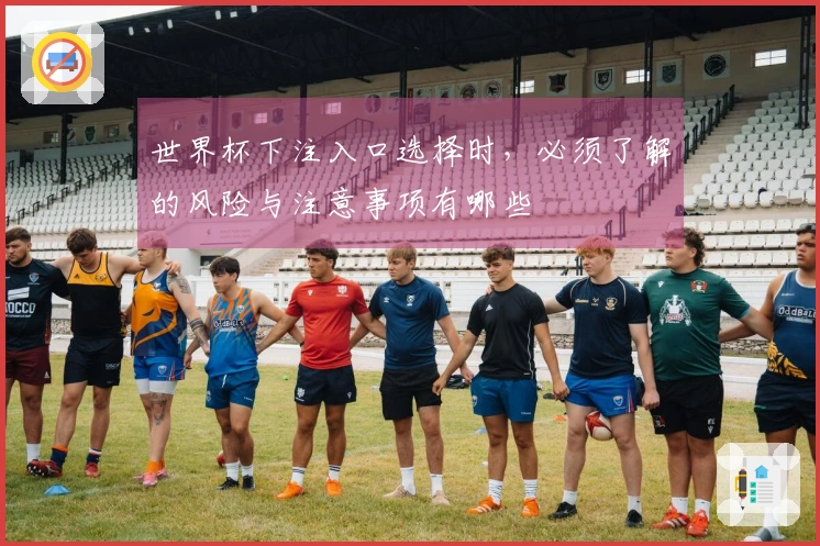 世界杯下注入口选择时，必须了解的风险与注意事项有哪些