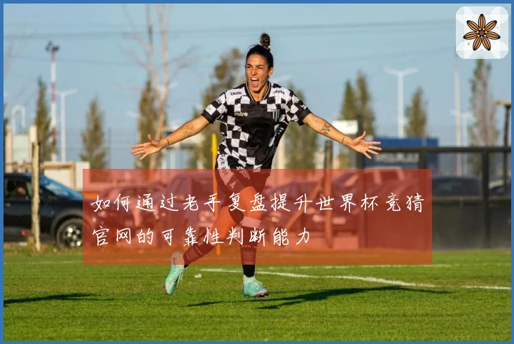 如何通过老手复盘提升世界杯竞猜官网的可靠性判断能力