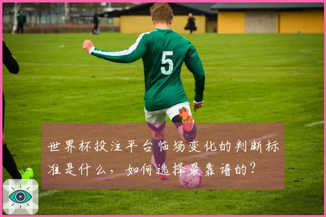 世界杯投注平台临场变化的判断标准是什么，如何选择最靠谱的？