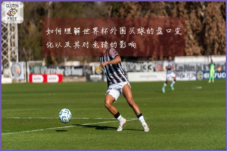 如何理解世界杯外围买球的盘口变化以及其对竞猜的影响