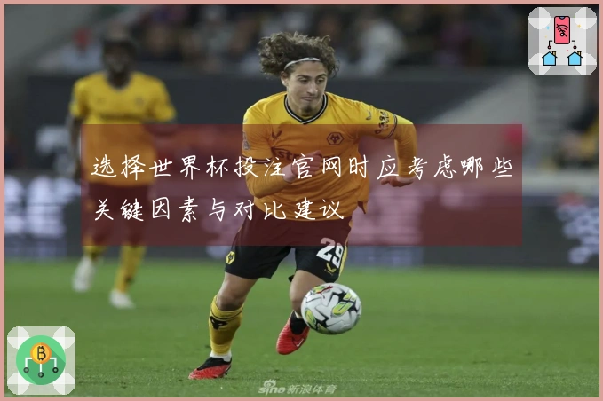 选择世界杯投注官网时应考虑哪些关键因素与对比建议