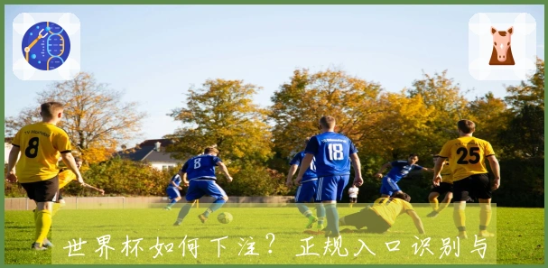 世界杯如何下注？正规入口识别与流程拆解指南