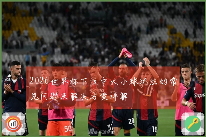 2026世界杯下注中大小球玩法的常见问题及解决方案详解