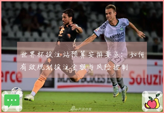 世界杯投注站预算安排要点：如何有效规划投注金额与风险控制