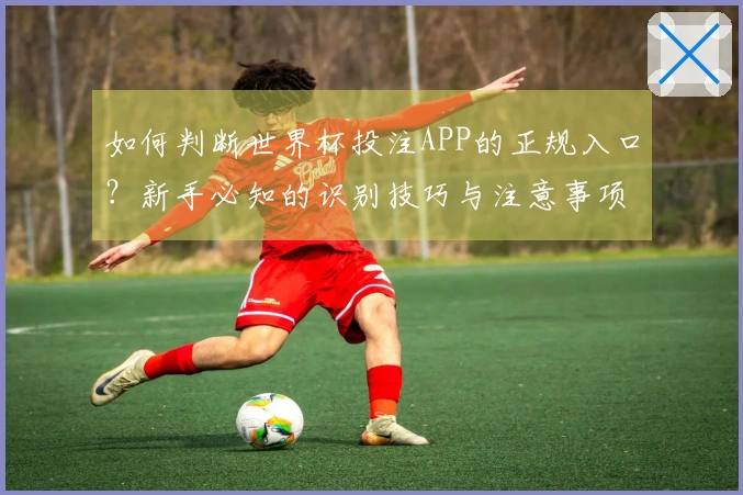如何判断世界杯投注APP的正规入口？新手必知的识别技巧与注意事项
