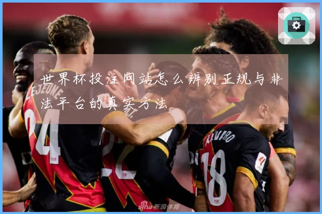 世界杯投注网站怎么辨别正规与非法平台的真实方法