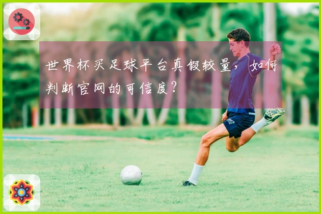世界杯买足球平台真假较量，如何判断官网的可信度？