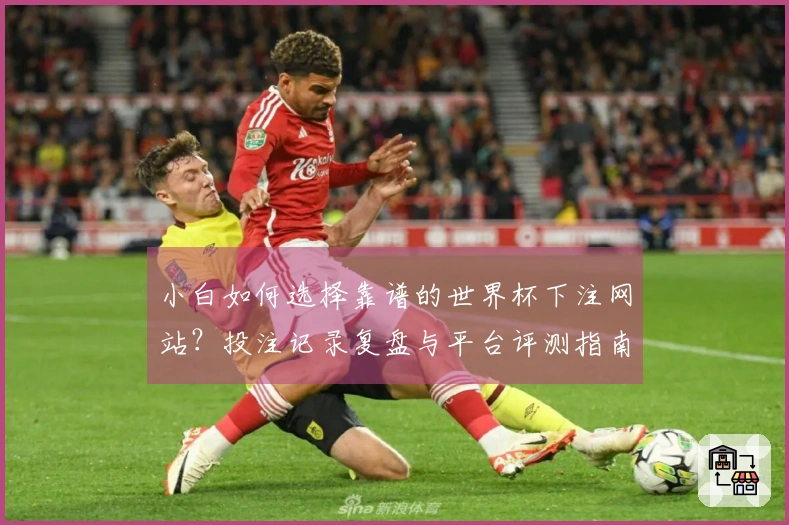 小白如何选择靠谱的世界杯下注网站？投注记录复盘与平台评测指南