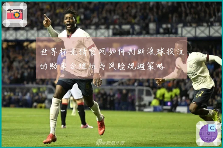世界杯竞猜官网如何判断滚球投注的赔率合理性与风险规避策略