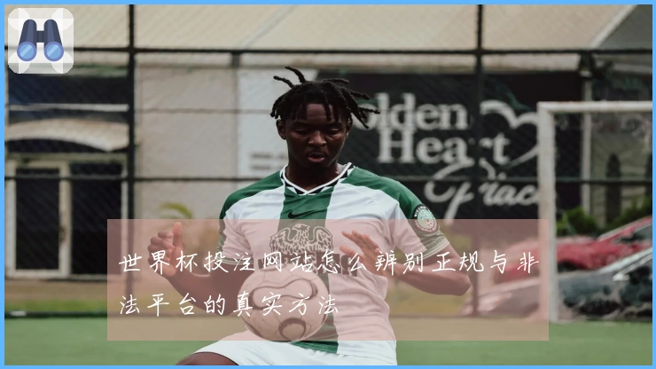 世界杯投注网站怎么辨别正规与非法平台的真实方法